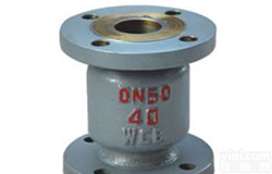 H42W-16P<em>不锈钢</em><em>立式</em><em>止回阀</em>