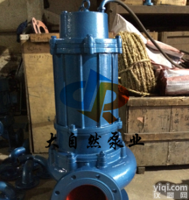 供应QW250-600-20-55<em>潜水</em><em>排污泵</em>价格 <em>撕裂</em>式<em>排污泵</em>