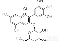 6906-38-3<em> 飞燕草素葡萄糖苷</em> Delphinidin3-glucosid