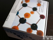 <em>小鼠</em>白<em>介素</em>4ELISA<em>试剂盒</em>供应,<em>小鼠</em>IL-4<em>试剂盒</em>,IL-4 elisa kit