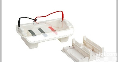 KL17系列多功能<em>琼脂糖水平电泳槽</em>, <em>琼脂糖水平电泳槽</em>