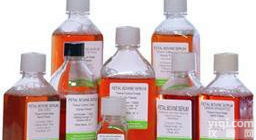 兔抗绵羊IgG(H+L)（绵羊IgG<em>亲和</em>纯化）/RabbitAnti-Sheep<em>价格</em>