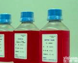 GOLD*<em>小鼠</em>抗<em>HBsAg</em>/<em>MonoclonalMouseA</em>nti-<em>HBsAg</em>*