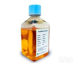 Gibco优级胎牛<em>血清</em><em>墨西哥</em>血源货号：10437028