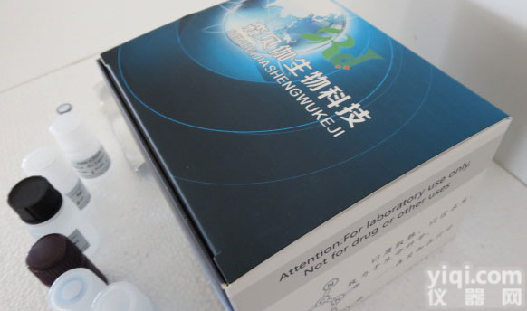 <em>犬瘟热</em>病毒<em>抗体</em>(CDV)ELISA<em>试剂盒</em>价格