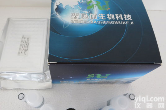 大鼠<em>血管</em>紧张素ІІ/<em>生成素</em>（Ang ІІ)ELISA<em>试剂盒</em>特价供应，大鼠<em>血管</em>紧张素ІІ<em>试剂盒</em>厂家