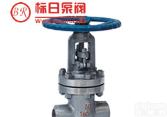 供应承插焊<em>楔式闸阀</em> 、承插焊<em>楔式闸阀</em>价格、承插焊<em>楔式闸阀</em>