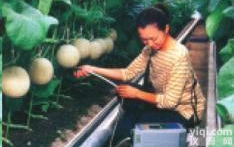 ZF.K-BA100R水果<em>糖度</em><em>无损检测</em><em>分析仪</em>， <em>无损检测</em><em>分析仪</em>