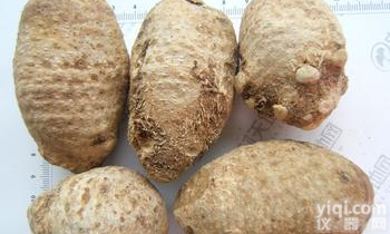 <em>泽泻提取物</em>