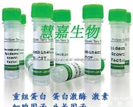 <em>重组</em>人<em>内皮</em>素1/EDN1 Human <em>重组</em>人<em>内皮</em>素1