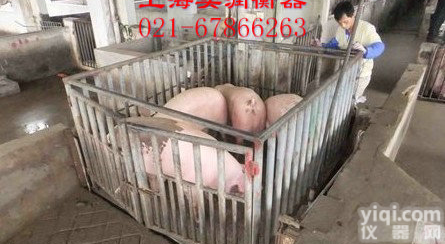 南宁<em>围栏</em>秤、300千克带<em>围栏</em>地<em>磅秤</em>