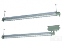 防爆荧光灯， 防爆<em>日光灯</em>， 防爆<em>节能灯</em>