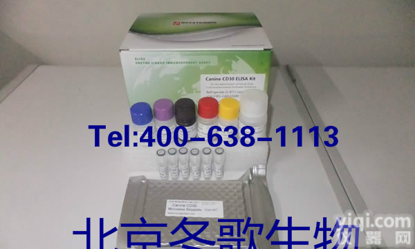 人巨噬细胞来源的<em>趋化</em>因子进口原装<em>试剂盒</em>,MDC/CCL22<em>北京</em>代测厂家直销<em>试剂盒</em>