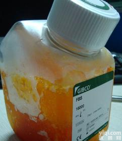 胎牛<em>血清</em> gibco <em>南美</em>（原装）500ml 胎牛<em>血清</em>报价