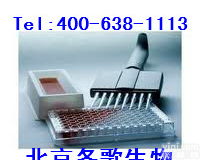 小鼠中性粒细胞<em>弹性</em>蛋白酶<em>进口</em>原装试剂盒,NE北京代测厂家直销
