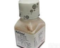 Hyclone胎牛<em>血清</em> 100ML， <em>南美</em> 胎牛<em>血清</em> SV30087.01