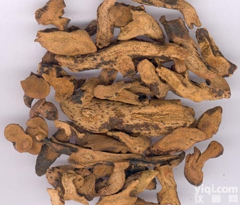 <em>骨碎补提取物</em>