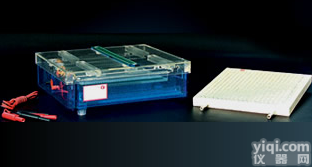 等电<em>聚焦</em>多用途<em>电泳仪</em> 水平<em>电泳仪</em> 双向向等电<em>聚焦</em><em>电泳仪</em>