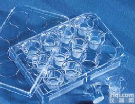 康宁transwell<em>细胞</em><em>小室</em>3422