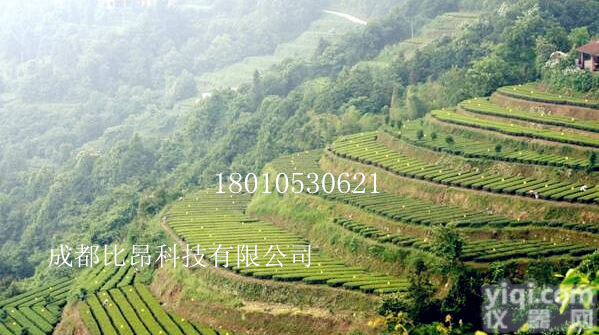 促销进口胶粘虫黄板/粘虫板/杀虫板/诱虫板配悬挂铁丝<em>园林工具</em>