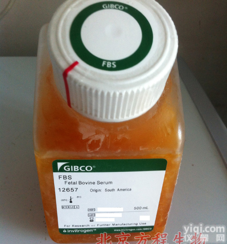 人<em>多巴胺</em><em>脱羧酶</em>定量检测/DDC <em>ELISA</em>试剂盒