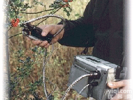 便携式调制<em>叶绿素</em><em>荧光</em>仪 <em>叶绿素</em>调制<em>荧光</em>仪器 <em>叶绿素</em><em>荧光</em>测试仪