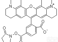 6-<em>Carboxy</em>-X-<em>rhodamine</em>,<em>succinimidyl</em> ester
