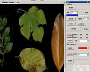 <em>陕西</em> 山西 <em>甘肃</em> 新疆 银川 西宁低价植物图像分析系统厂家直销终身免费维修邮