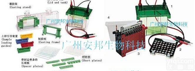 BIO-RAD  <em>伯乐</em>mini<em>电泳槽</em>转印槽