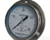 Y-<em>103</em>B<em>不锈钢</em><em>压力表</em>-西派测控网