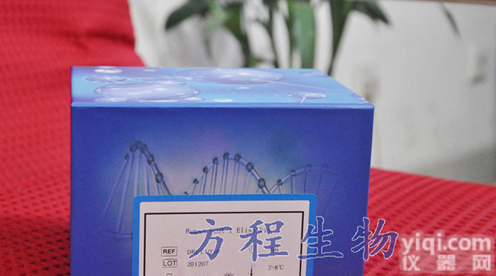 兔核<em>因子</em>κB亚基p65<em>亲和</em>肽定量<em>检测</em>/NF-κB p65 ELISA kit