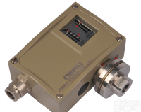 D501/7D<em>防爆</em>型压力控制器-<em>西派</em><em>测控网</em>