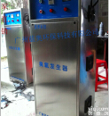 供应蓝奥消毒杀菌空气<em>净化水质</em>处理臭氧发生器