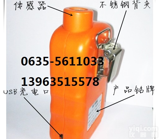 固定式、便携式报警器，<em>检测仪</em>