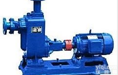 淄博自吸排污泵<em>现货</em>|自吸泵销售<em>厂家</em>在<em>哪里</em>