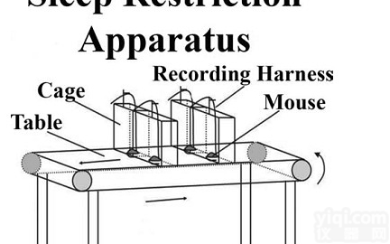 平台式<em>睡眠</em><em>剥夺</em>大鼠<em>睡眠</em><em>剥夺</em>仪小鼠<em>睡眠</em><em>剥夺</em>仪 转轮式<em>睡眠</em><em>剥夺</em>仪 动物<em>睡眠</em><em>剥夺</em>