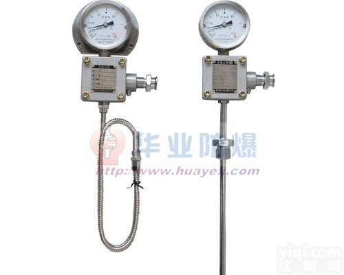 双支Pt100 防爆<em>热电阻</em>远传<em>温度仪表</em>