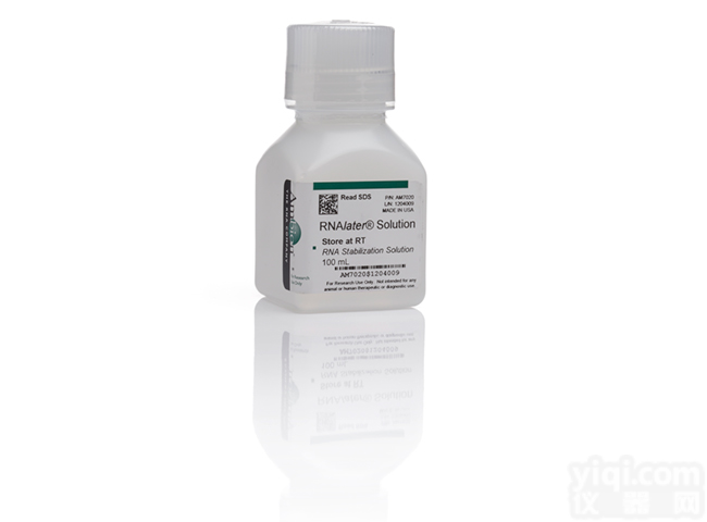 Thermo 26616，<em>Fermentas</em> <em>SM0671</em>， 预染蛋白Marke