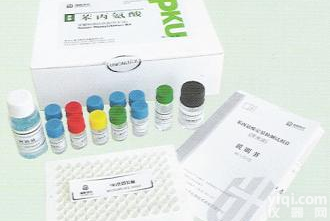 白细胞介素-1β （IL-1β）<em>放免</em><em>试剂盒</em>，提供<em>放免</em>代测服务