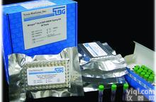 人突触前膜<em>受体</em>抗体(PsmRAb) ELISA<em>试剂盒</em>，全程提供<em>技术指导</em>和售后服务