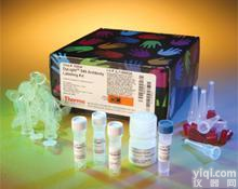 小鼠髓过氧化物酶(MPO) ELISA<em>试剂盒</em>，全程提供<em>技术指导</em>和售后服务