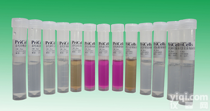 「AML-193<em>细胞</em>」人急性<em>单核</em><em>细胞</em>白血病<em>单核</em><em>细胞</em>