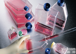 「HCT-8<em>细胞</em>」人<em>盲肠</em><em>腺癌</em><em>细胞</em>