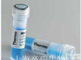 供应羊抗<em>小鼠</em>IgG(H+L)  （<em>小鼠</em>IgG<em>亲和</em>纯）