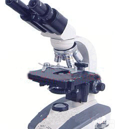 <em>生物</em><em>显微镜</em> 40-1000倍<em>生物</em><em>显微镜</em> 宽视野平场<em>目镜</em><em>生物</em><em>显微镜</em>