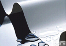 <em>Millipore</em> <em>转印</em>膜