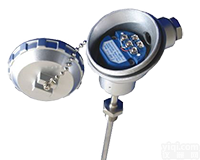 带热电偶（阻）温度<em>变送器</em>模块<em>SBWR</em>-4860