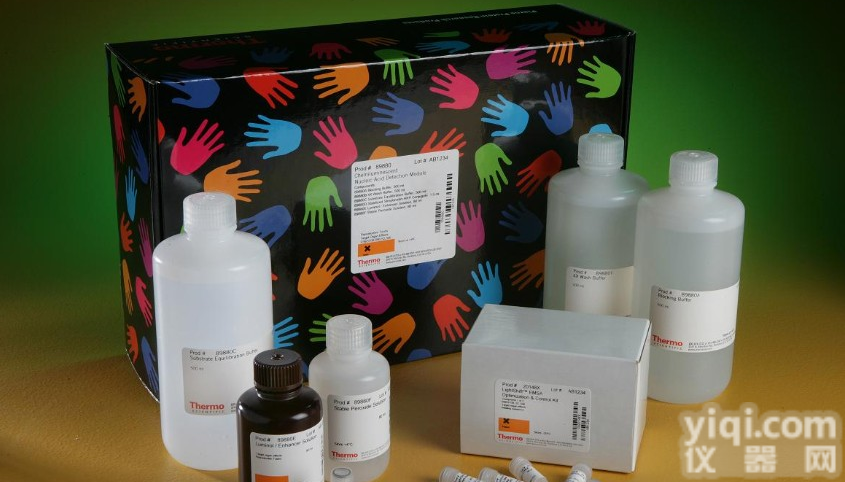 人<em>血吸虫</em>IgM(<em>SchIgM</em>)ELISA<em>试剂盒</em>