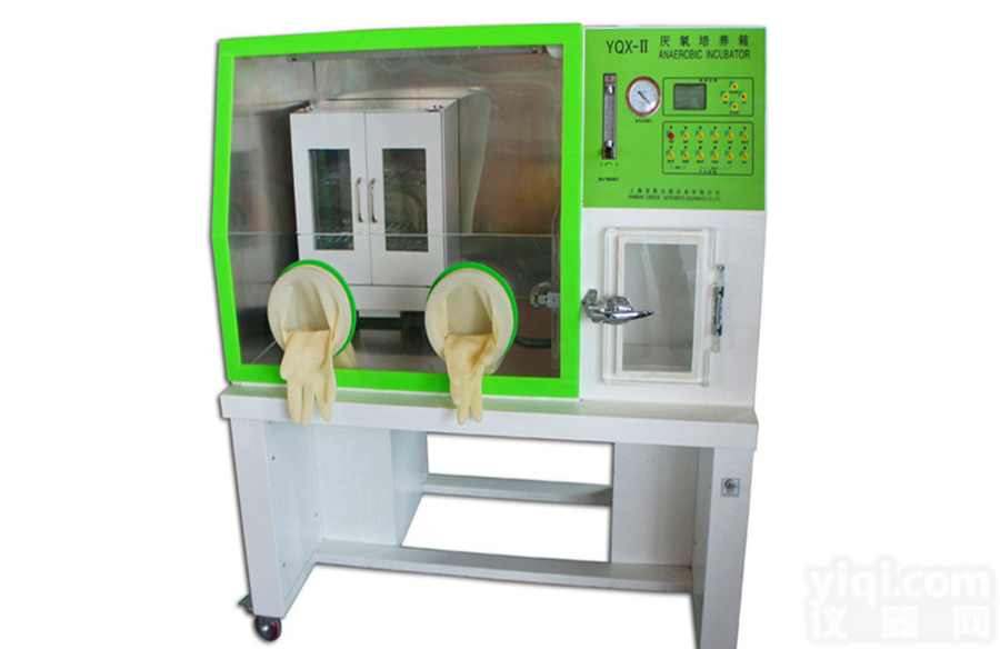 上海厌氧<em>培养箱</em>厂家 数显<em>控温</em>厌氧<em>培养箱</em>价格