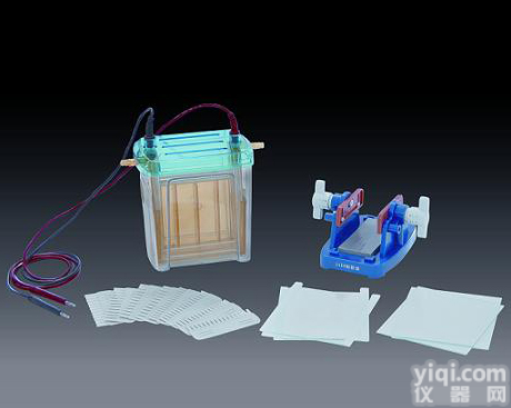 <em>DYCZ</em>-24EN双<em>垂直电泳</em>槽（蛋白凝胶电泳，双向电泳第二向）